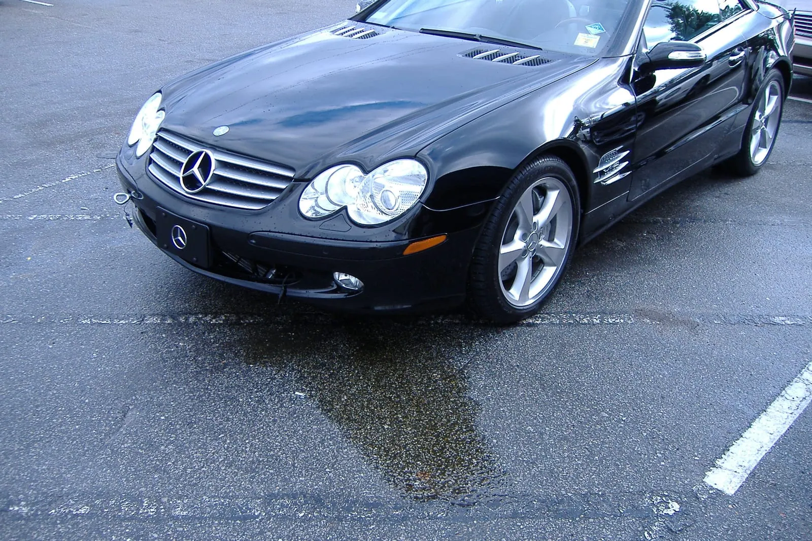 Mercedes-Benz serviced by Newmoyer Mercedes Specialist, Wilmington NC